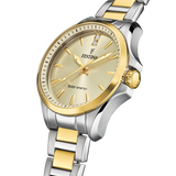 Festina energia solar f20655/3 champagne aço inoxidável 316l, mulher